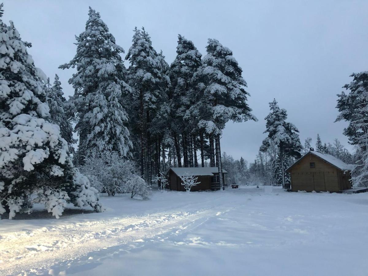 Arturi Maja Saunaga Villa Romeda Екстериор снимка